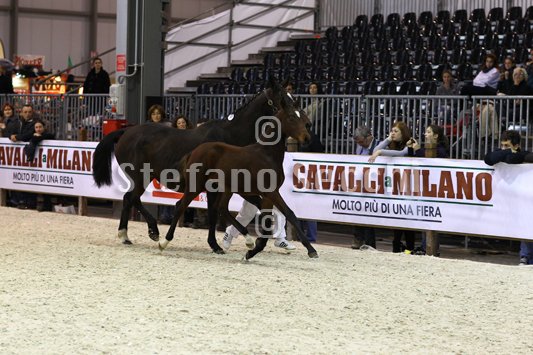 PAN CARRE_MILANO_2010_SS3_8356.jpg